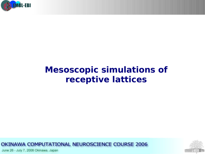 mesoscopic simulations of receptive lattices limitation