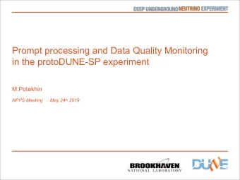 Prompt processing and Data Quality Monitoring  in the protoDUNE-SP experiment  M.Potekhin NPPS