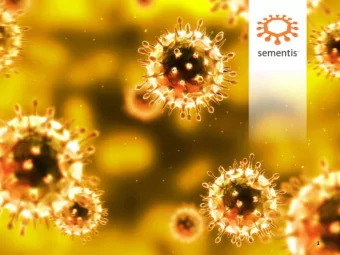 1 Disclaimer  Sementis  We believe that the information in this presentation is correct and  any