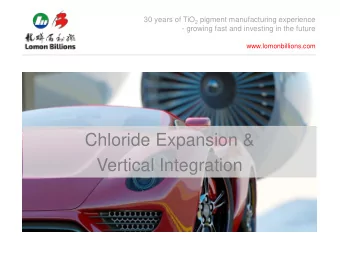 Chloride Expansion &amp;  Vertical Integration  Disclaimer