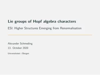 Lie groups of Hopf algebra characters  ESI: Higher Structures Emerging from Renormalisation