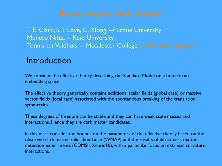 brane vector dark matter