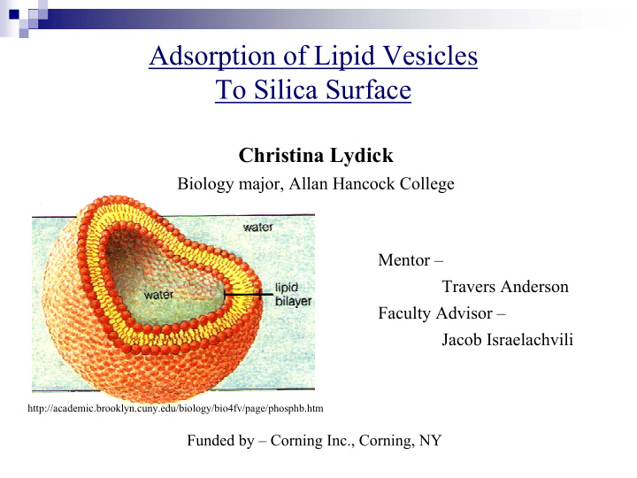 adsorption of lipid vesicles to silica surface
