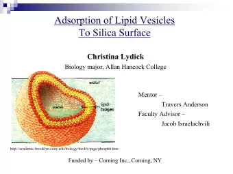 Adsorption of Lipid Vesicles  To Silica Surface  Christina Lydick  Biology major, Allan Hancock