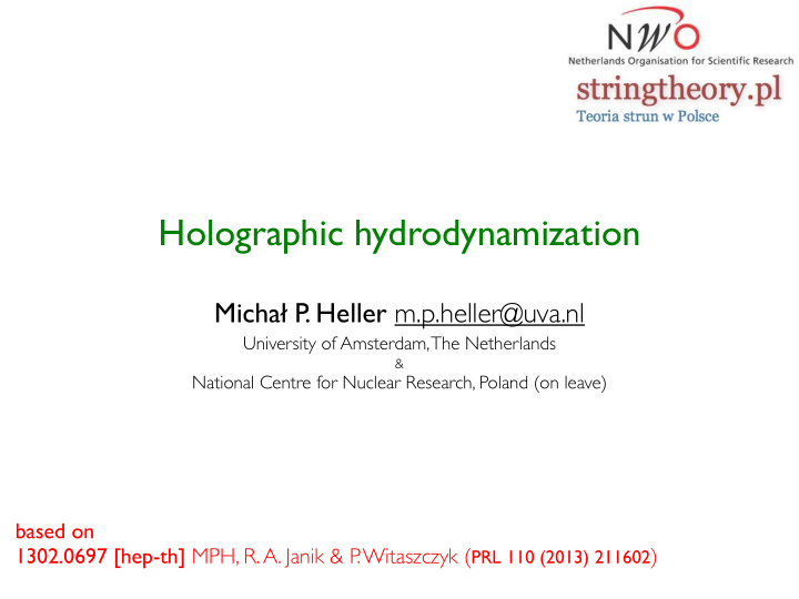 holographic hydrodynamization