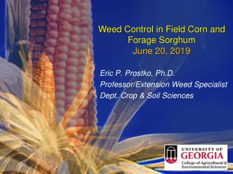 June 20, 2019  Eric P. Prostko, Ph.D.  Professor/Extension Weed Specialist  Dept. Crop &amp; Soil