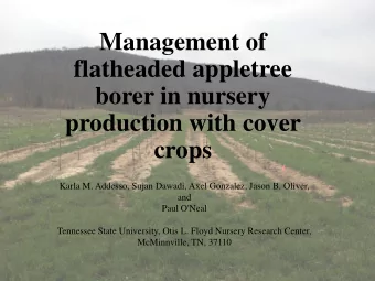 flatheaded appletree  borer in nursery  production with cover  crops  Karla M. Addesso, Sujan
