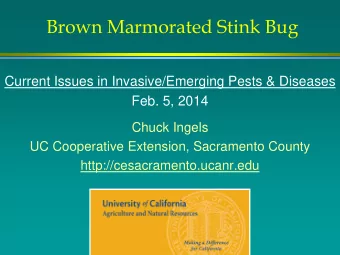 Brown Marmorated Stink Bug  Current Issues in Invasive/Emerging Pests &amp; Diseases  Feb. 5, 2014