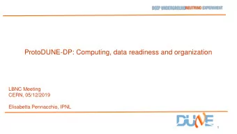 ProtoDUNE-DP: Computing, data readiness and organization  LBNC Meeting  CERN, 05/12/2019