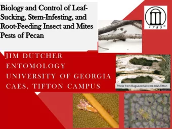 Bi  Biol  ology  ogy and Con  and Contro  trol of L  l of Leaf  eaf-  Suck  Su  cking  ing,  , St