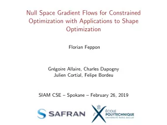Null Space Gradient Flows for Constrained  Optimization with Applications to Shape  Optimization
