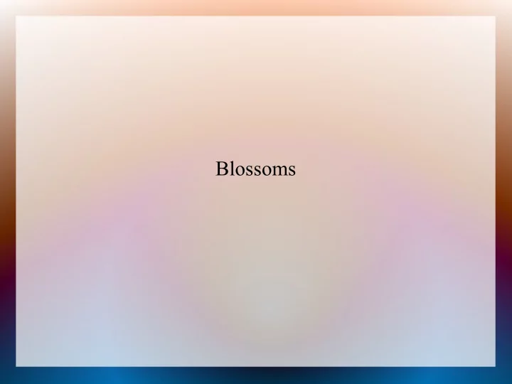 blossoms