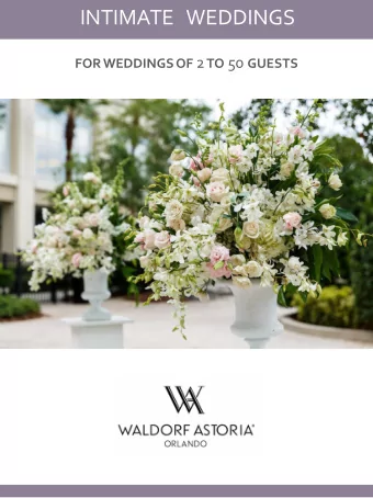 INTIMATE WEDDINGS FOR WEDDINGS OF 2 TO 50 GUESTS  CEREMONY   LOCATIONS  BONNET CREEK PAVILLION