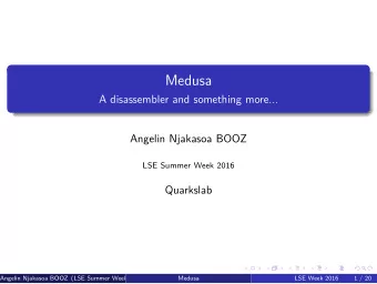 Medusa  A disassembler and something more...  Angelin Njakasoa BOOZ  LSE Summer Week 2016