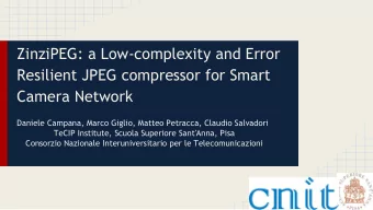 ZinziPEG: a Low-complexity and Error  Resilient JPEG compressor for Smart  Camera Network  Daniele