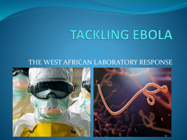 the west african laboratory response