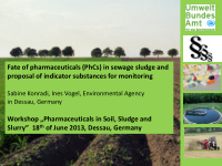 fate of pharmaceuticals phcs in sewage sludge and