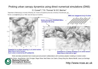 http://www.ncas.ac.uk  Questions  Do we have a simple picture of urban canopy turbulence?