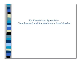 Glenohumeral and Scapulothoracic Joint Muscles 30a Kinesiology: Synergists -  Glenohumeral and