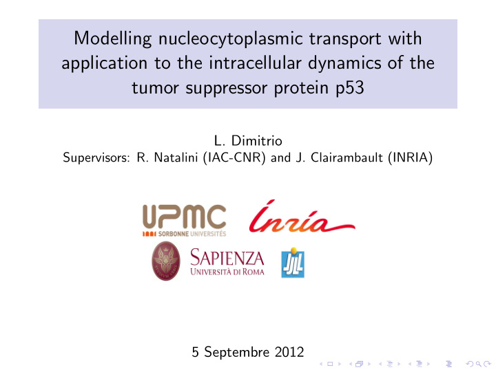 modelling nucleocytoplasmic transport with application to