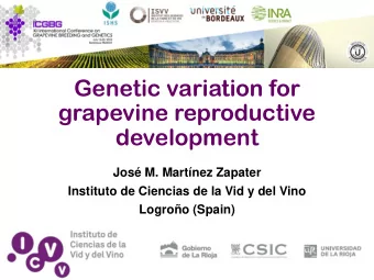 grapevine reproductive  development  Jos M. Martnez Zapater  Instituto de Ciencias de la Vid y
