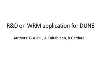 R&amp;D on  on WRM ap  applicati  tion f  for D  or DUNE  Authors: G.Aielli , A.Caltabiano,