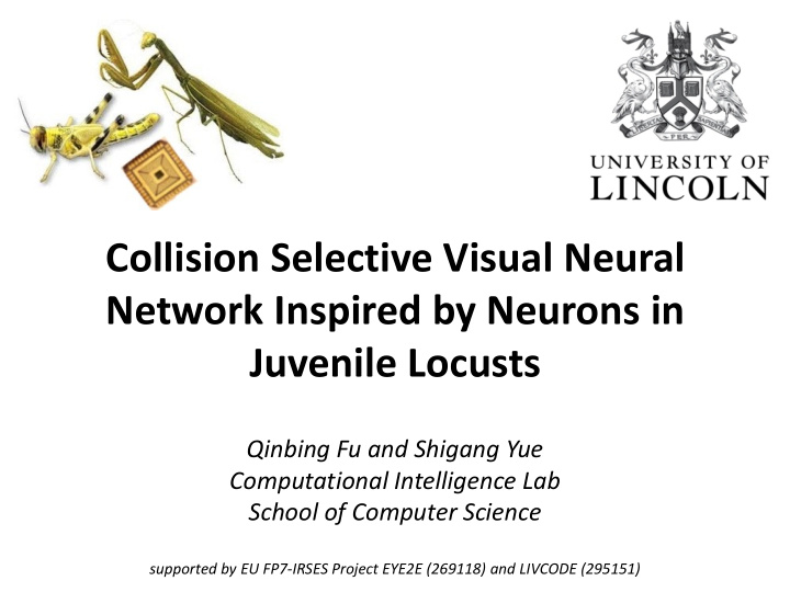 collision selective visual neural network inspired by