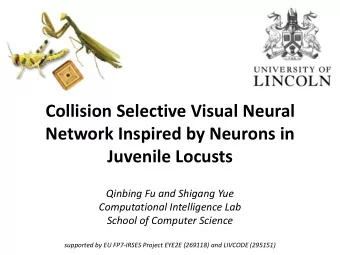 Collision Selective Visual Neural  Network Inspired by Neurons in  Juvenile Locusts  Qinbing Fu and