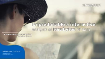 Unpredictable &amp; interactive analysis of terabytes of data Amadeus Revenue Accounting  Metadata
