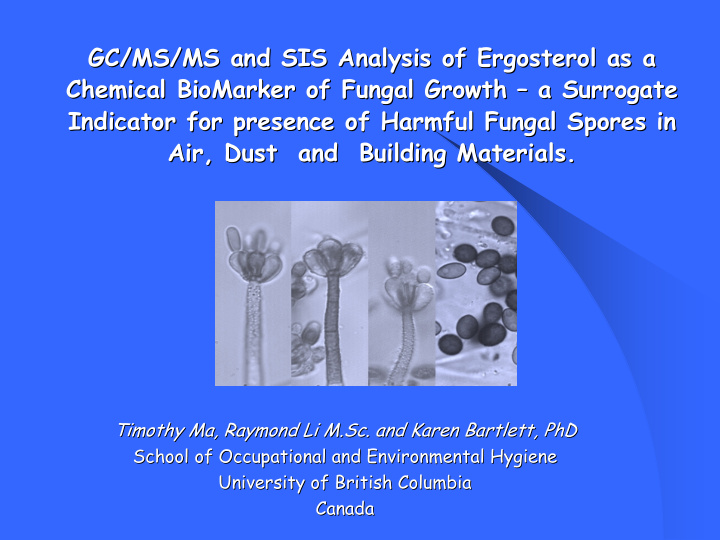 gc ms ms and sis analysis of ergosterol as a gc ms ms and