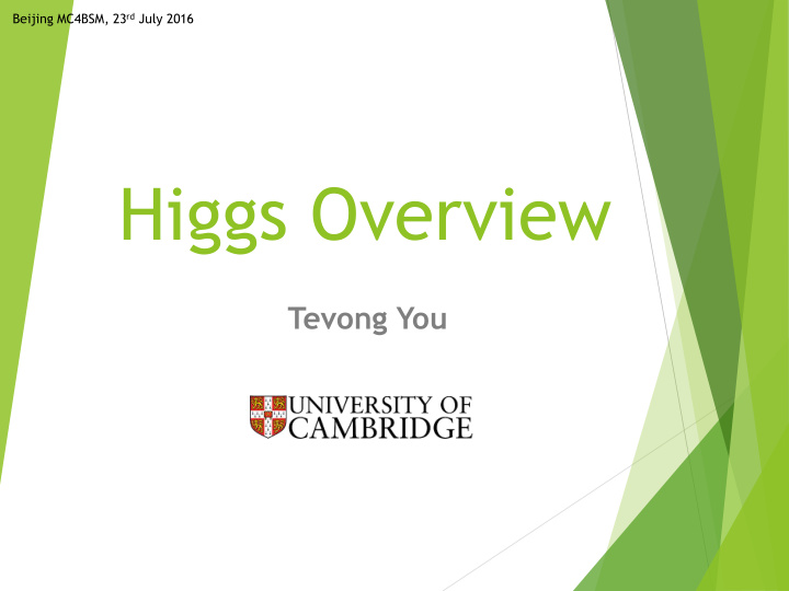 higgs overview