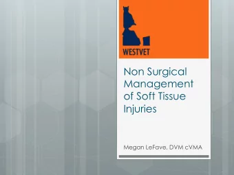 Non Surgical  Management  of Soft Tissue  Injuries  Megan LeFave, DVM cVMA  Non Surgical Management