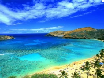 University of Washington  University of Washington  Encoding Integers  The hardware (and C)