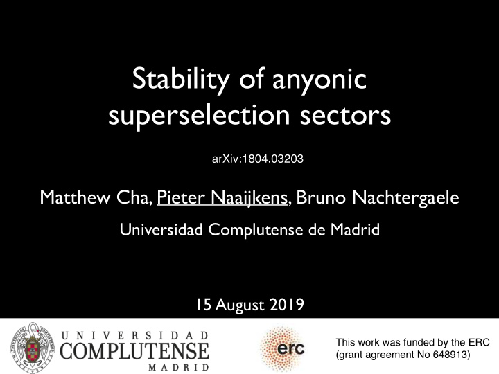 stability of anyonic superselection sectors