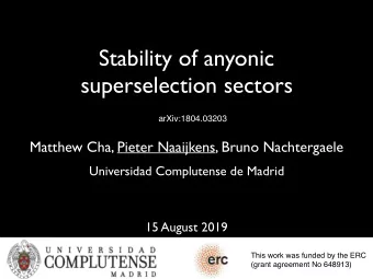 Stability of anyonic  superselection sectors  arXiv:1804.03203  Matthew Cha, Pieter Naaijkens,