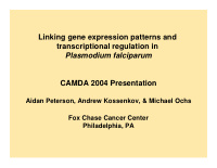 linking gene expression patterns and transcriptional