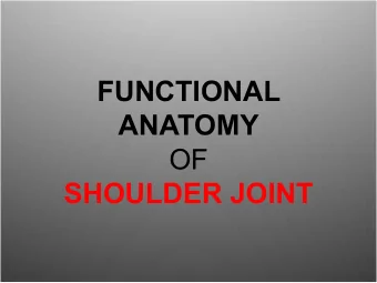 FUNCTIONAL  ANATOMY  OF  SHOULDER JOINT  ARTICULATION  Articulation is  between:    The rounded