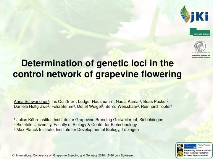 determination of genetic loci in the