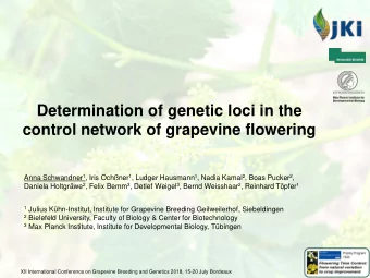 Determination of genetic loci in the  control network of grapevine flowering Anna Schwandner 1 ,