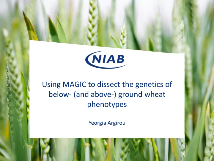using magic to dissect the genetics of