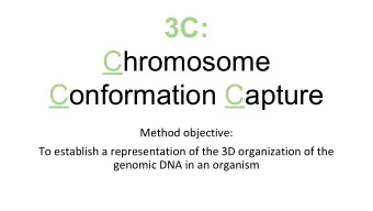 3C:  Chromosome  Conformation Capture  Method objective:  To establish a representation of the 3D
