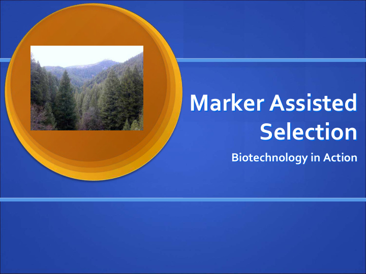 marker assisted marker assisted selection selection