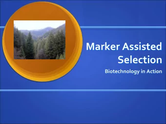 Marker Assisted Marker Assisted  Selection  Selection Biotechnology in Action Biotechnology in