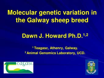 Molecular genetic variation in  the Galway sheep breed Dawn J. Howard Ph.D. 1,2 1 Teagasc, Athenry,