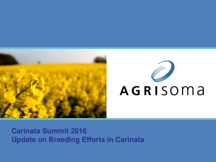 carinata summit 2016 update on breeding efforts in