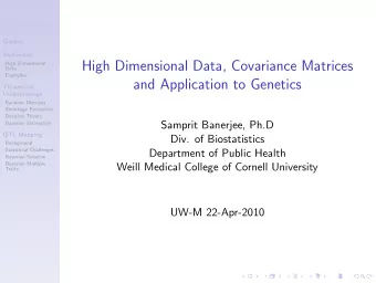 High Dimensional Data, Covariance Matrices  High Dimensional  Data  Examples  and Application to