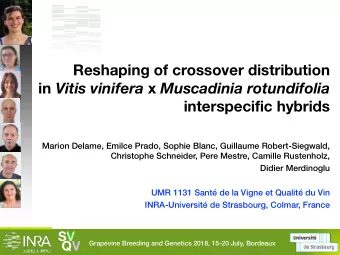 Reshaping of crossover distribution in Vitis vinifera x Muscadinia rotundifolia  interspecific