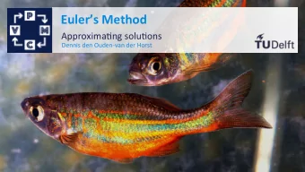Eulers  Method    Approxima5ng  solu5ons    Dennis  den  Ouden-van