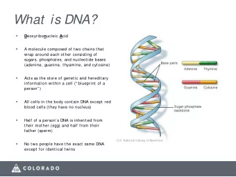 What  is DNA?   D eoxyribo n ucleic A cid    A molecule composed of two chains that  wrap