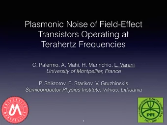 Plasmonic Noise of Field-Effect  Transistors Operating at  Terahertz Frequencies  C. Palermo, A.